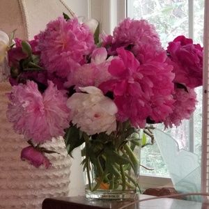 Meet your Posher, Pamela